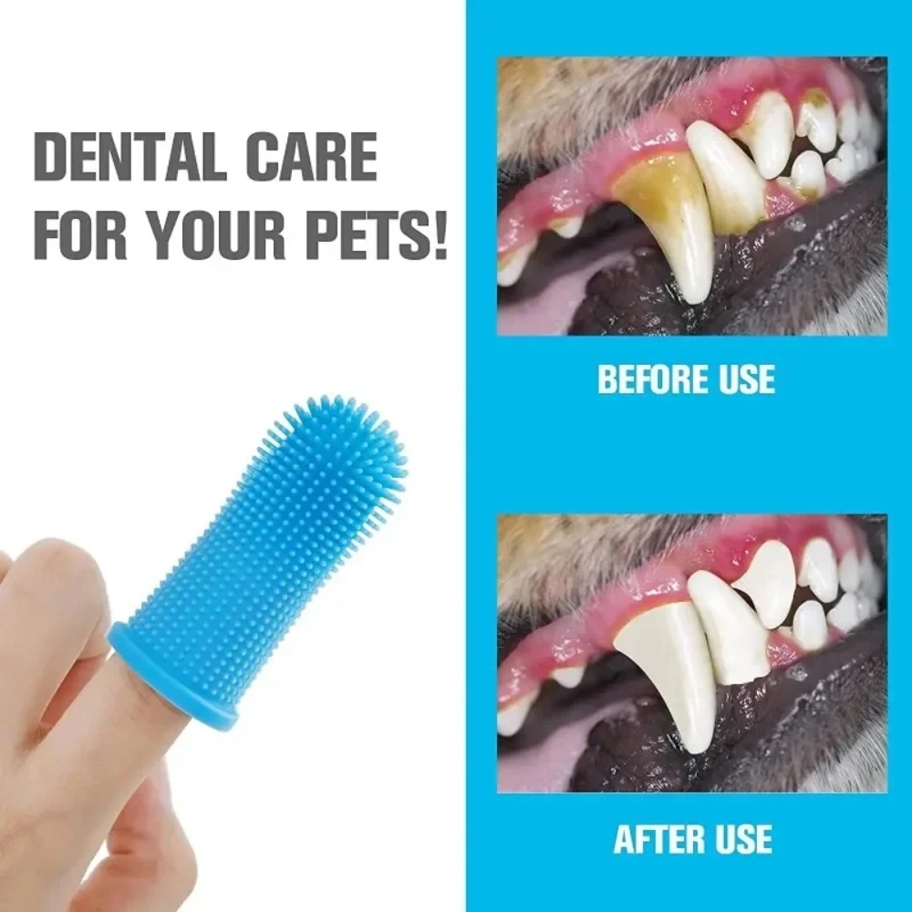 Pet Fountain Cleaning Kit - Evcil Hayvanlar İçin Parmakla Kullanılan Diş