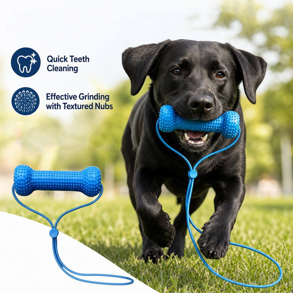 Pet Fountain Cleaning Kit - Evcil Hayvanlar İçin Diş Bakımı Amaçlı
