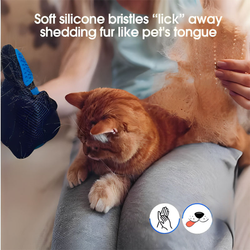 Evcil Hayvan Tüyleri İçin Eldi - Pet Fountain Cleaning Kit incelemesi ve fiyatı