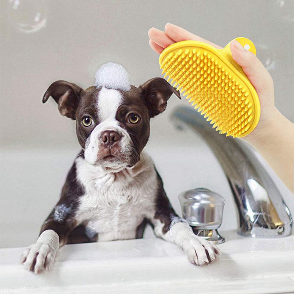 Pet Temizleme Fırçası Köpek Ke - Pet Fountain Cleaning Kit incelemesi ve fiyatı