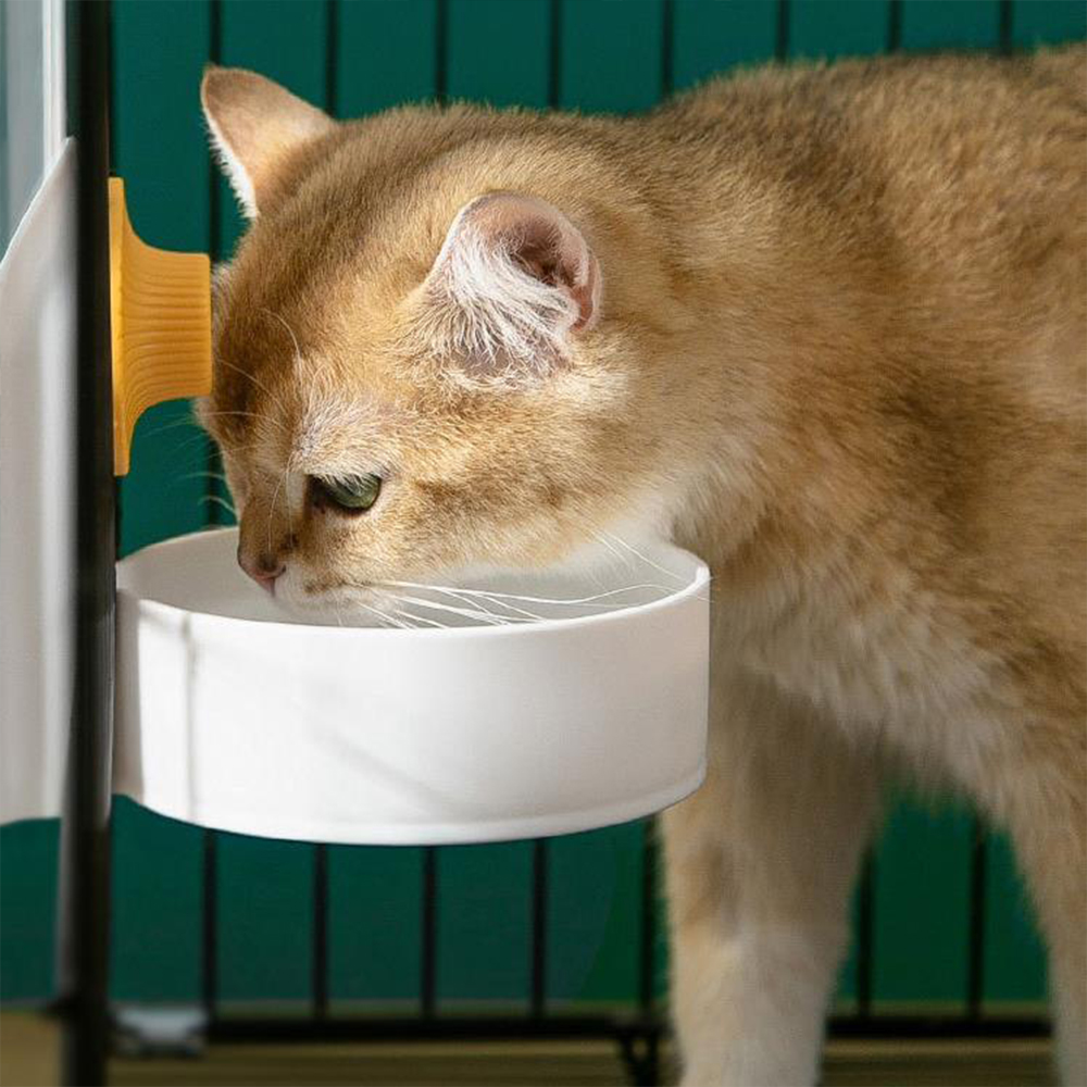 Büyük Kapasiteli Kedi Kafesi A - Dog Water Fountain Large incelemesi ve fiyatı
