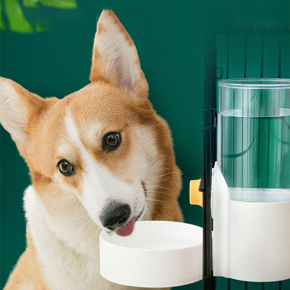 Büyük Kapasiteli Kedi Kafesi A - Dog Water Fountain Large incelemesi ve fiyatı