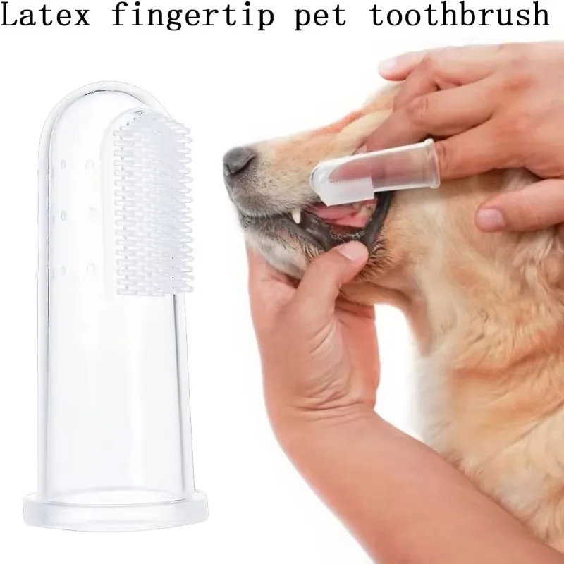 Süper Yumuşak Pet Parmak Diş F - Pet Fountain Cleaning Kit incelemesi ve fiyatı
