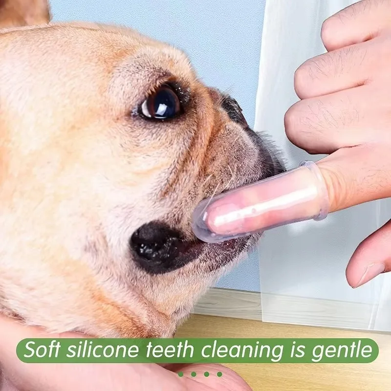 Süper Yumuşak Pet Parmak Diş F - Pet Fountain Cleaning Kit incelemesi ve fiyatı