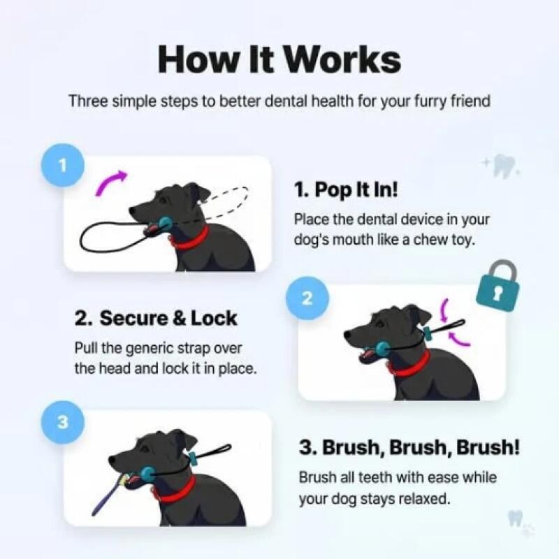 Çift Fonksiyonlu Evcil Hayvan  - Pet Fountain Cleaning Kit incelemesi ve fiyatı
