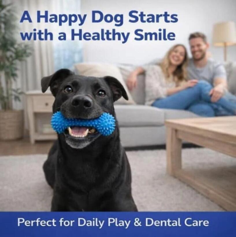 Çift Fonksiyonlu Evcil Hayvan  - Pet Fountain Cleaning Kit incelemesi ve fiyatı