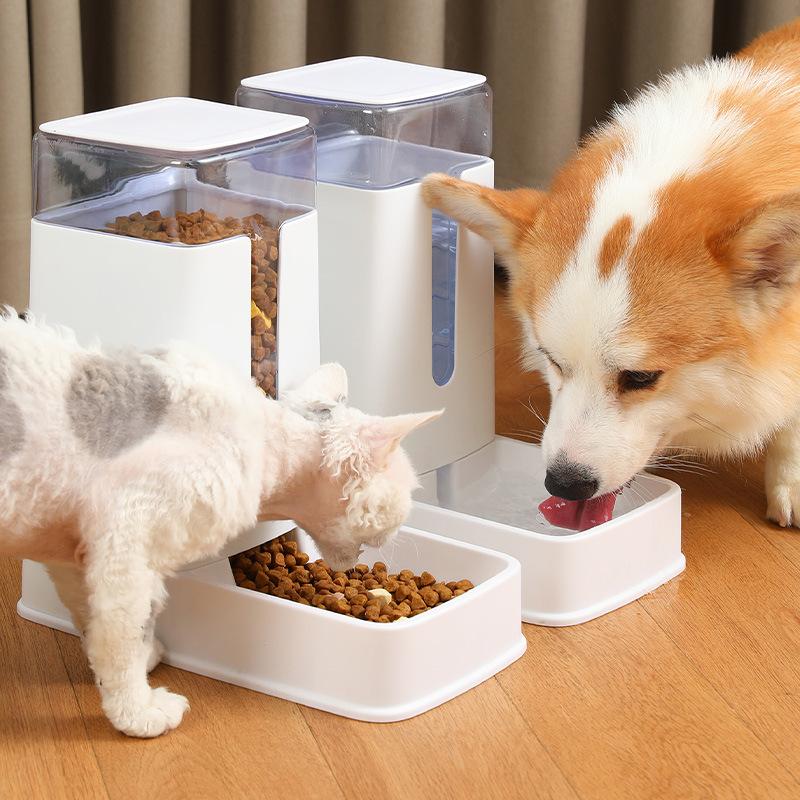 3,5 Litre Otomatik Mama ve Su  - Dog Water Fountain Large incelemesi ve fiyatı