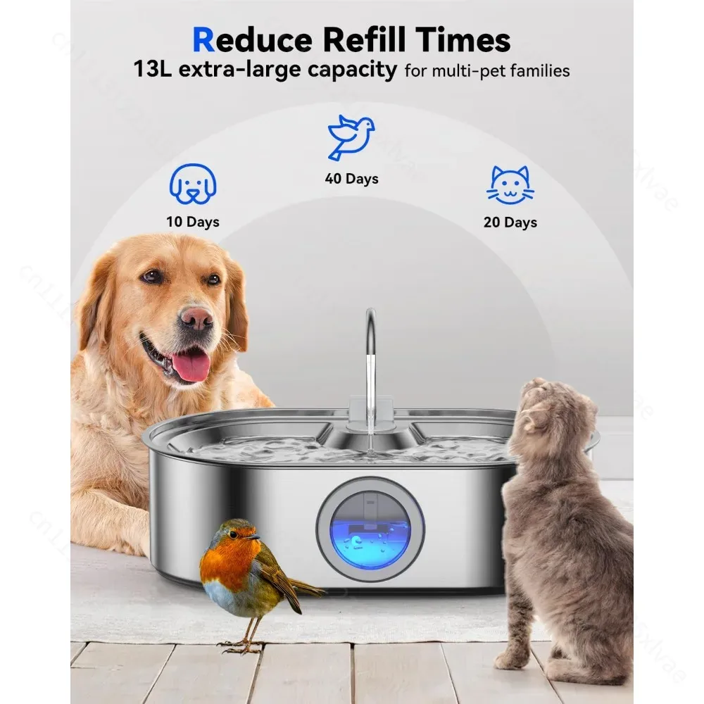 13L Paslanmaz Çelik Otomatik E - Dog Water Fountain Large incelemesi ve fiyatı