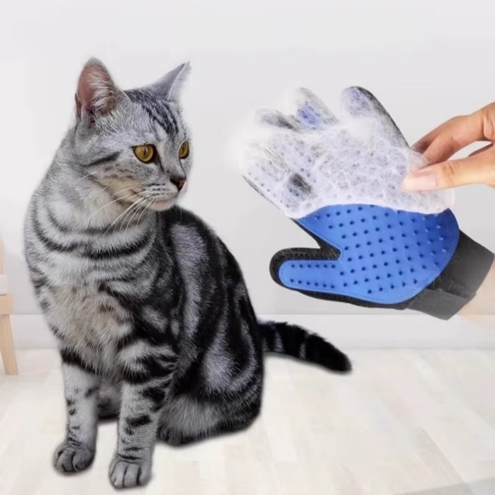 Evcil Hayvan Kedi Köpek Bakım  - Pet Fountain Cleaning Kit incelemesi ve fiyatı
