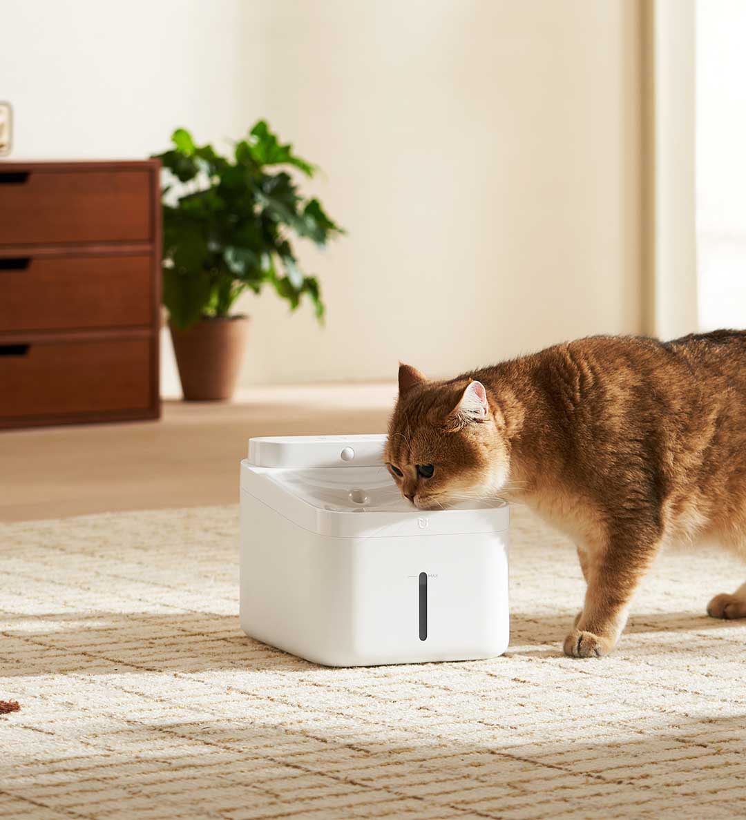 Yeni MIJIA Akıllı Evcil Hayvan - Wireless Pet Water Fountain Battery incelemesi ve fiyatı