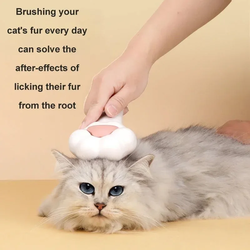 Sevimli Kedi Paw bakım fırçası - Pet Fountain Cleaning Kit incelemesi ve fiyatı