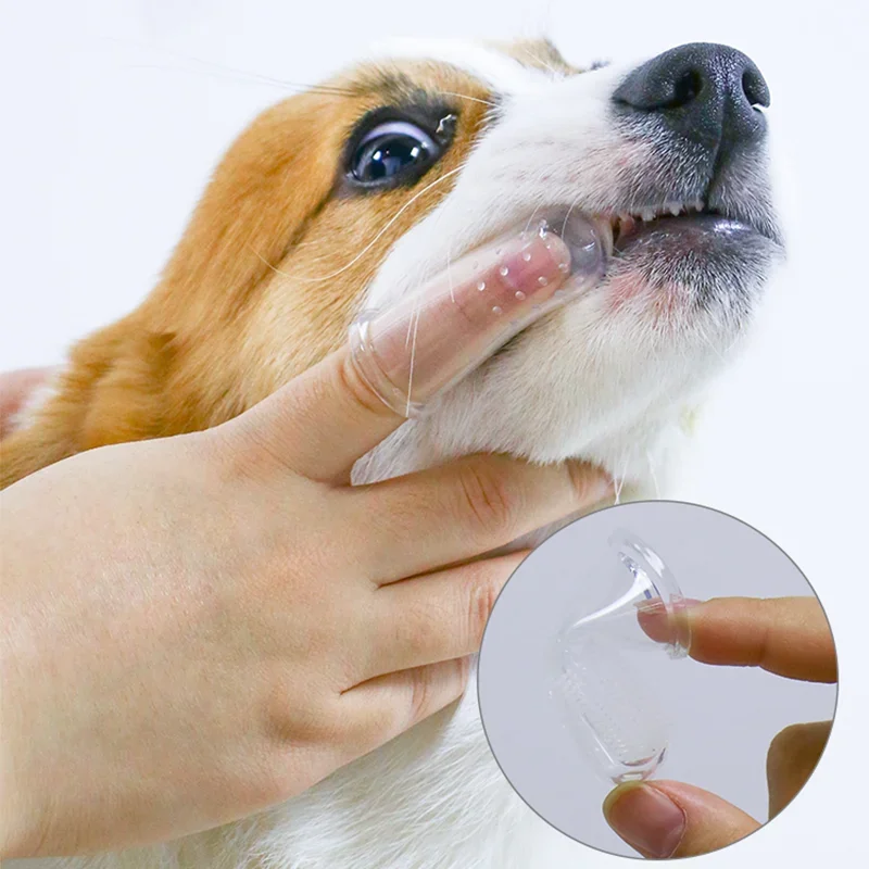 Süper Yumuşak Pet Parmak Diş F - Pet Fountain Cleaning Kit incelemesi ve fiyatı