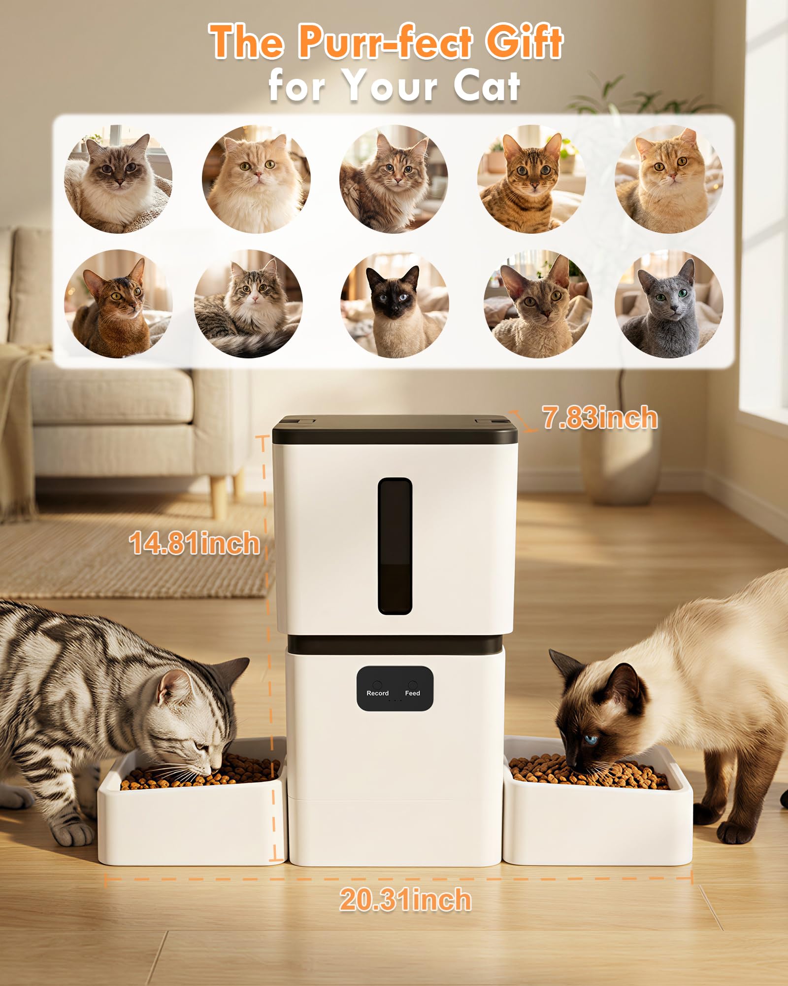 5GHz WiFi 8L Akıllı Otomatik E - Smart Pet Feeder Camera Wifi incelemesi ve fiyatı